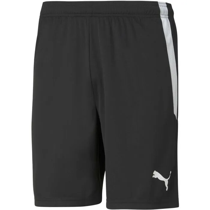 Puma TEAM LIGA SHORTS