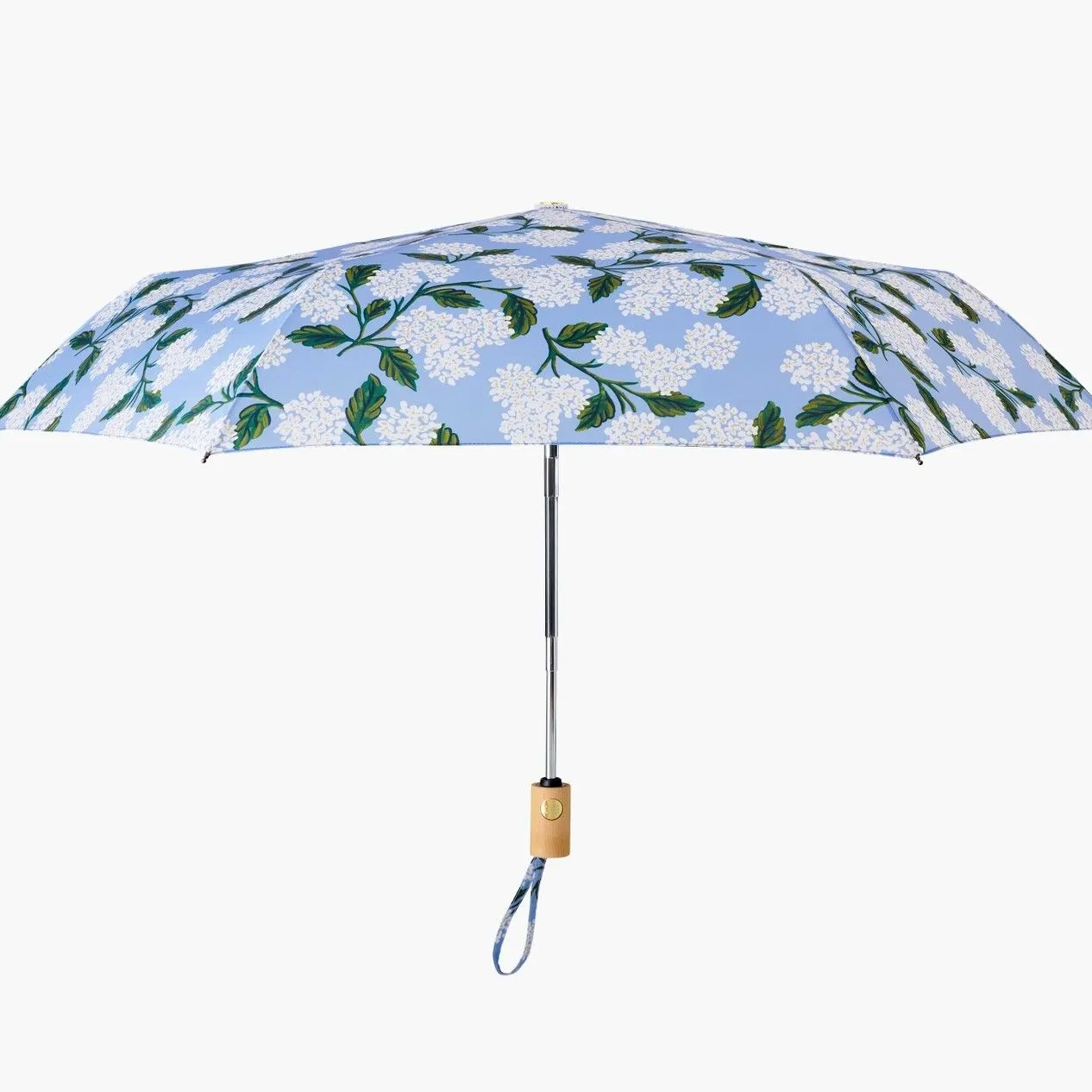 Umbrella (Hydrangea)